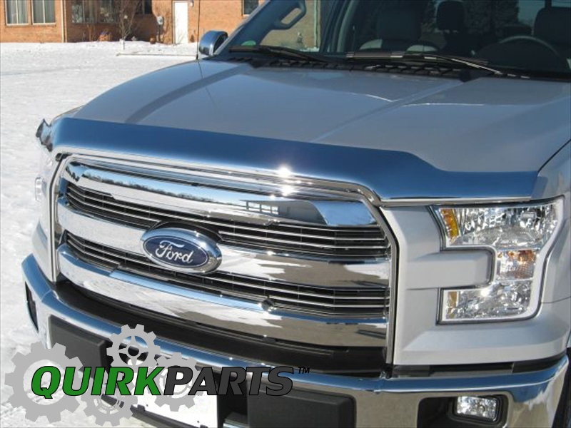 Chrome bug deflector ford f150 #4