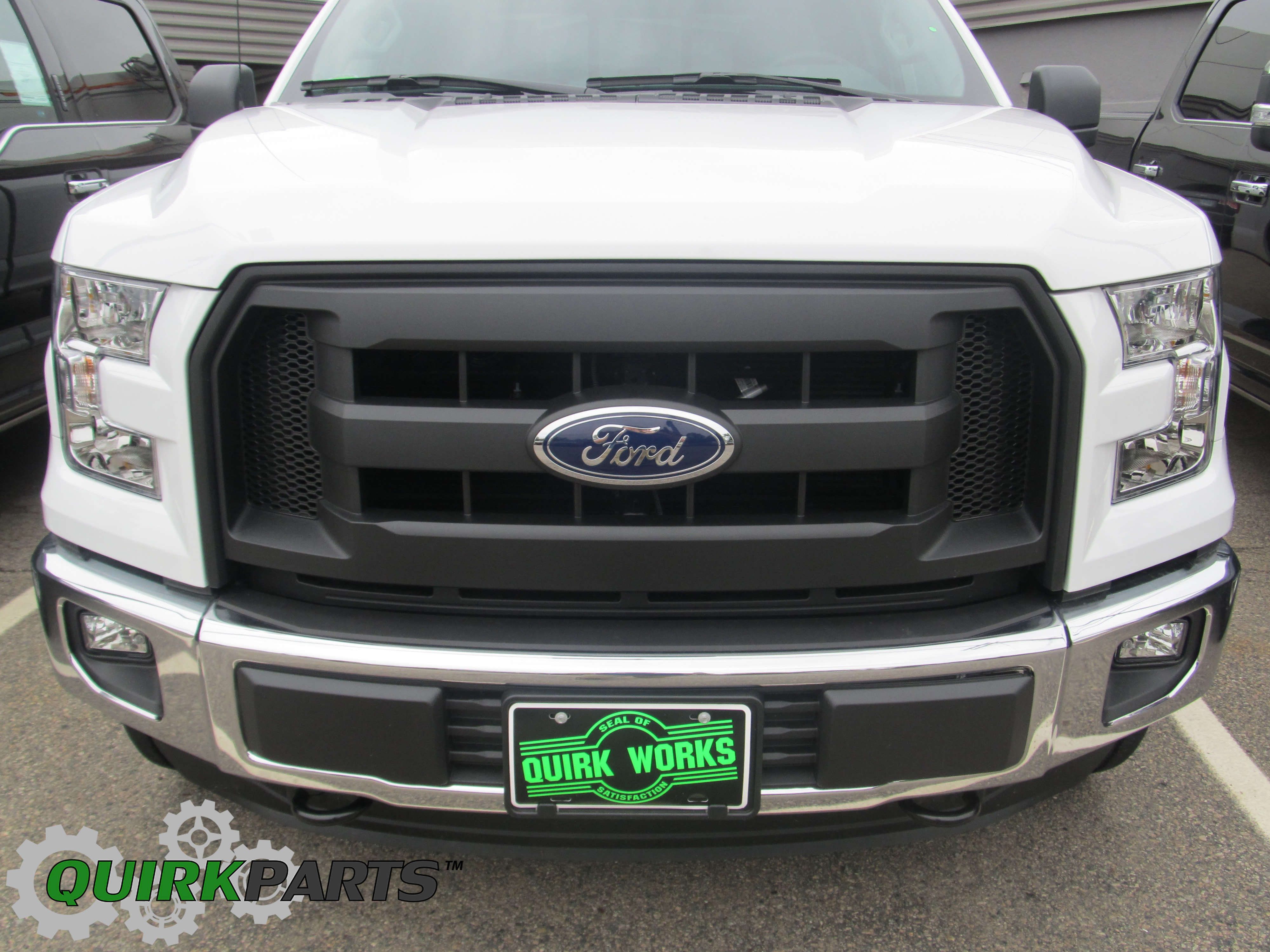 2015 2017 Ford F 150 Molded Carbon Black Grille Radiator Grill